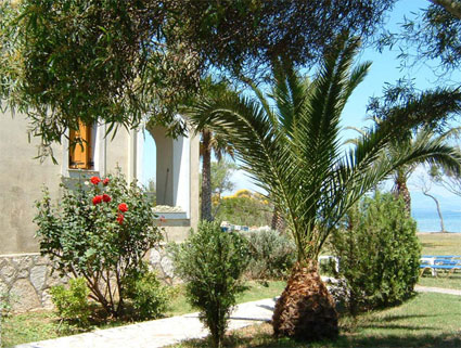 Studios Ειρήνη - Ενοικιαζόμενα δωμάτια στον Άγιο Πέτρο της Λευκίμμης στην Κέρκυρα