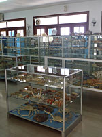 Μουσείο θαλάσσης Κέρκυρας φωτογραφίες